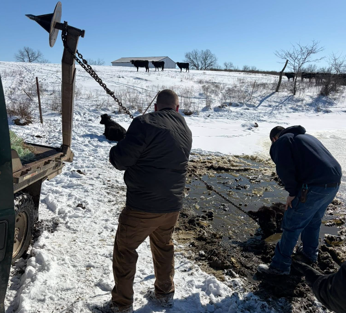 Bates County man rescued after falling through ice attempting to rescue calf