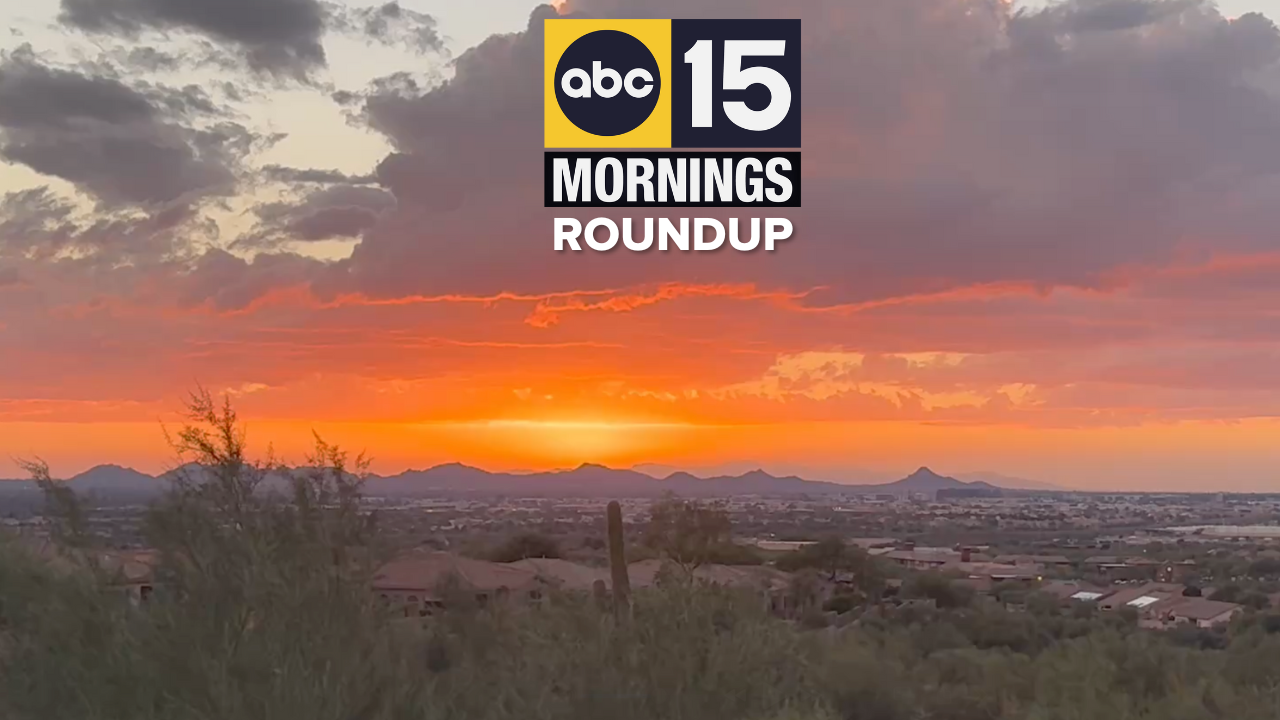 AM Roundup : Isabella Comas latest , Peoria dog rescue , Chandler carjacking