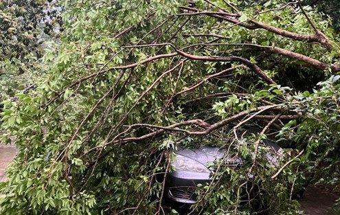 Debris pick-up scheduled for Lafayette Parish - Vimarsana News
