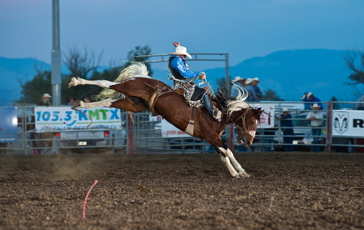 Fairgrounds looking forward to the return of the Last Chance Stampede and Fair - Vimarsana News