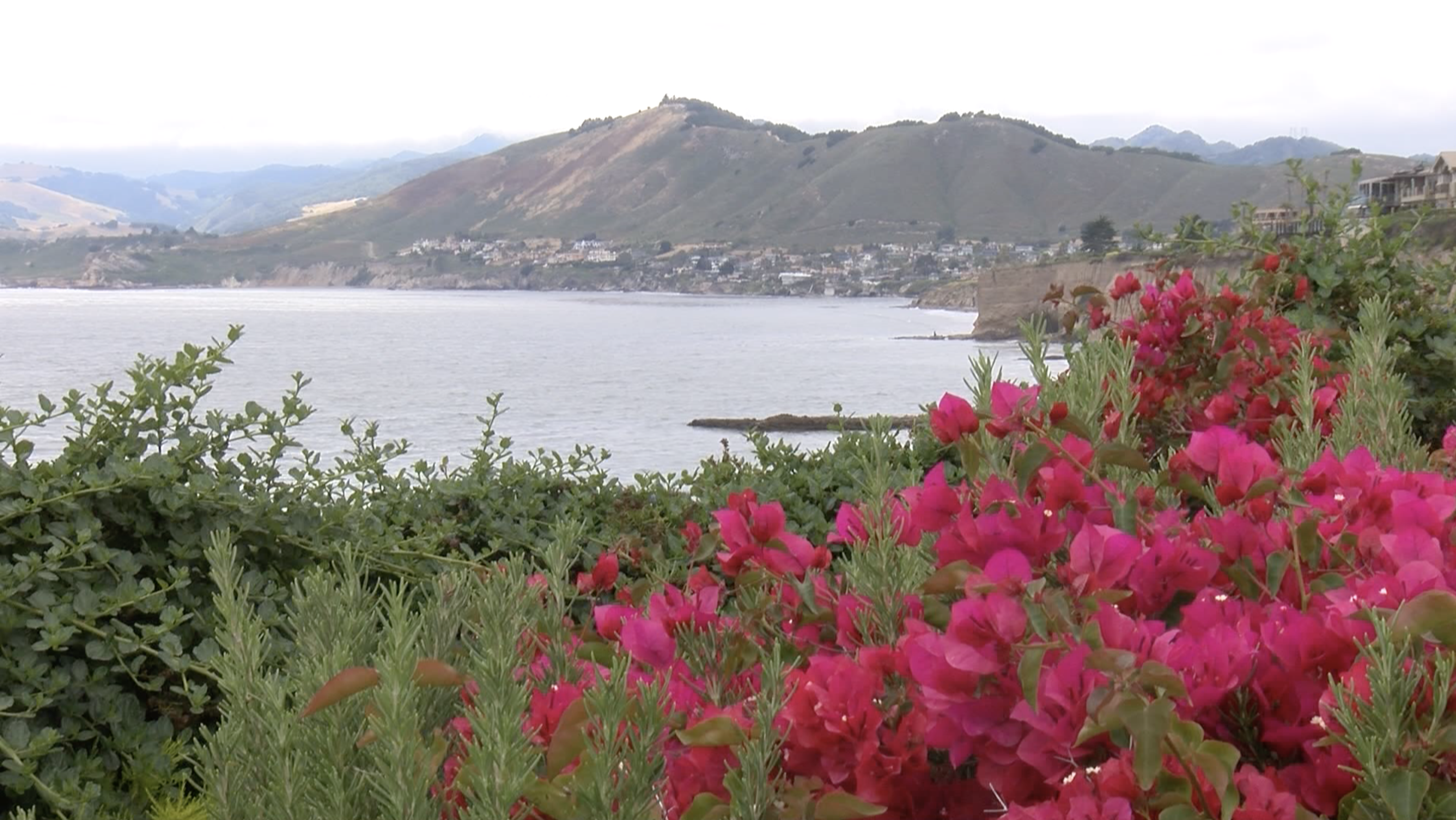 Pismo Beach City Council extends short-term rental moratorium for another year - Vimarsana News