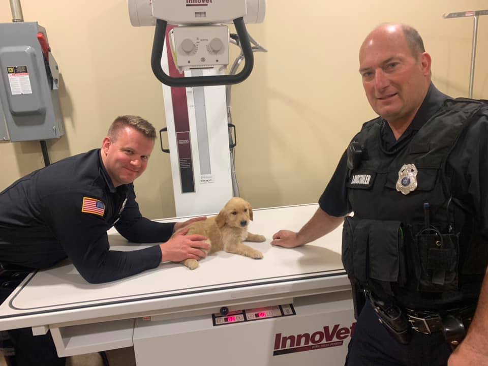 Choking puppy saved by two Eden police officers, dog now called 'Lucky' - Vimarsana News