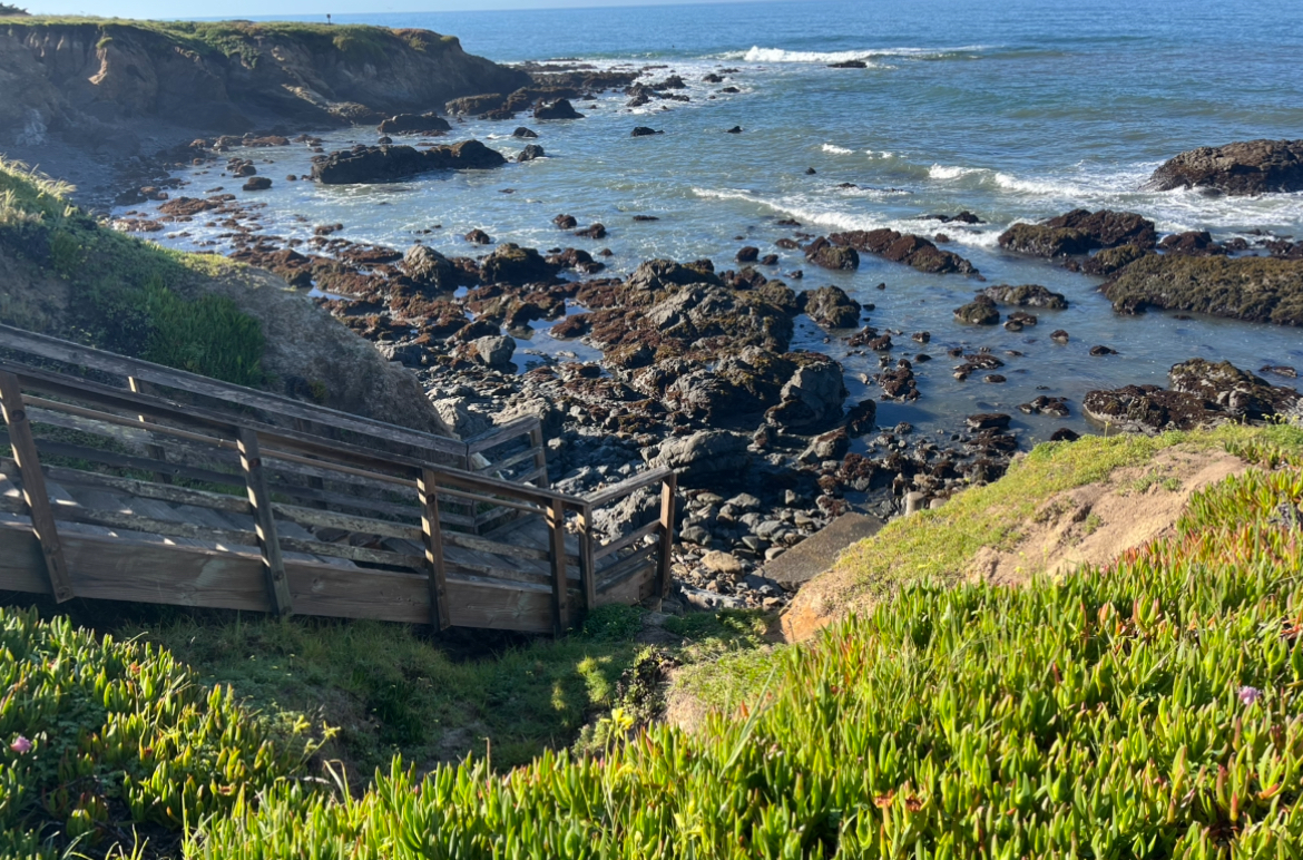 Lampton Cliffs stairway repair project could cost up to $1 million - Vimarsana News