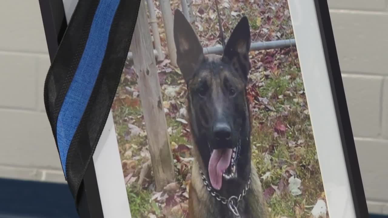 K-9 Rivan, killed in a Virginia prison attack, is remembered at memorial service - Vimarsana News