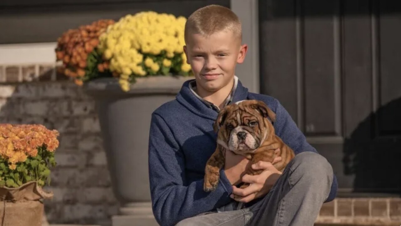 13-year-old injured in hit and run crash makes 'miracle' recovery, family says - Vimarsana News