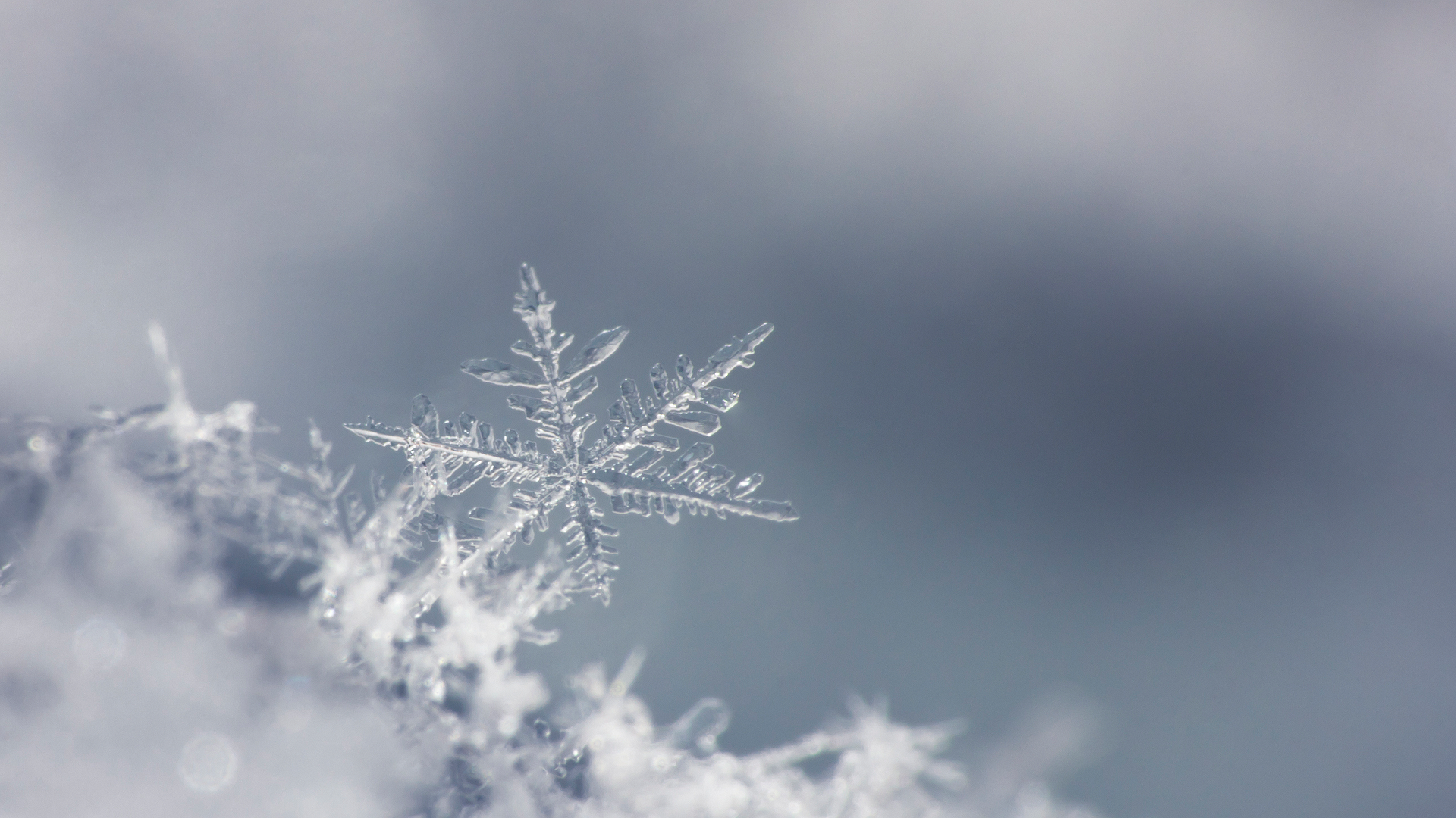 First Warning Forecast: Tracking rain and a snow chance to end the week - Vimarsana News
