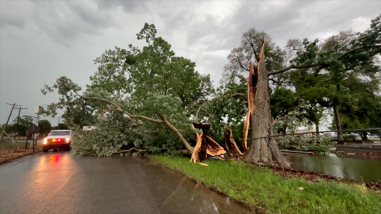 Guidelines for storm debris pick-up in Lafayette - Vimarsana News