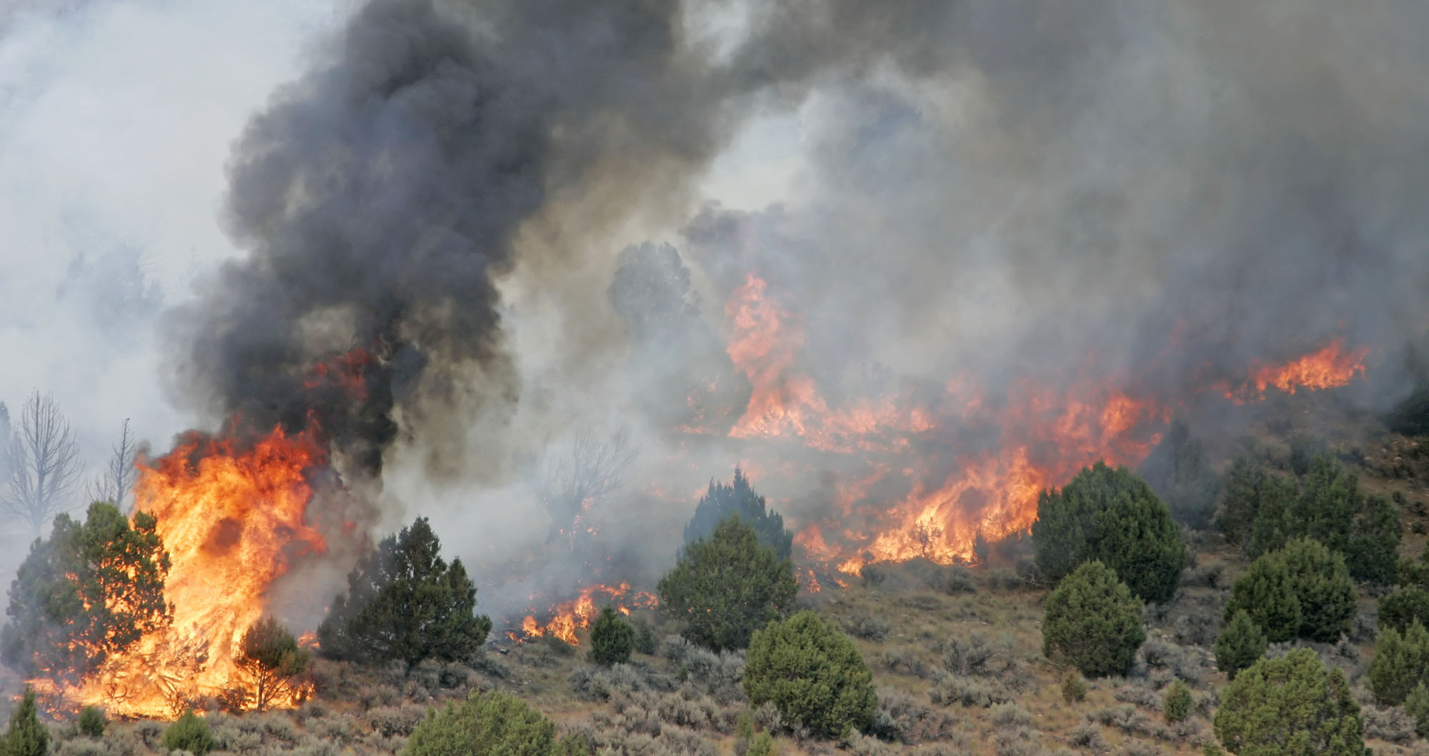 Fireworks, campfires banned under Weber Co. Fire Restriction Order - Vimarsana News