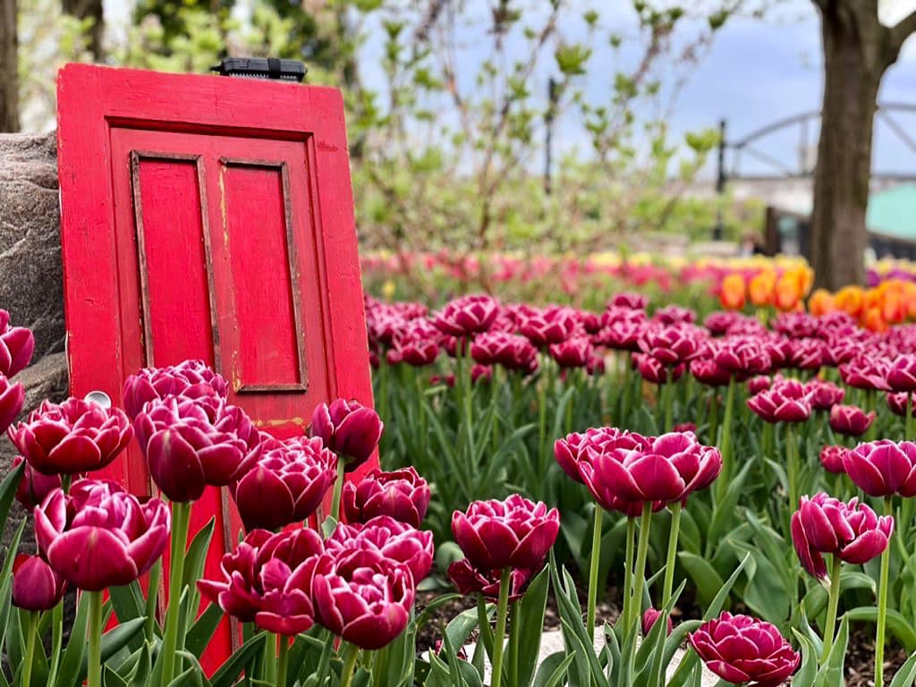 Red Door Project to show local artists in bloom at Cincinnati Zoo - Vimarsana News