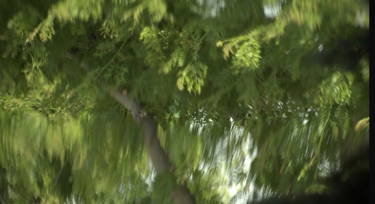 Missoula expert: Extreme heat events forecast - Vimarsana News