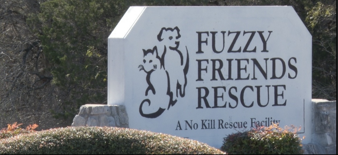 Fuzzy Friends Rescue addresses concerns over adoption process - Vimarsana News