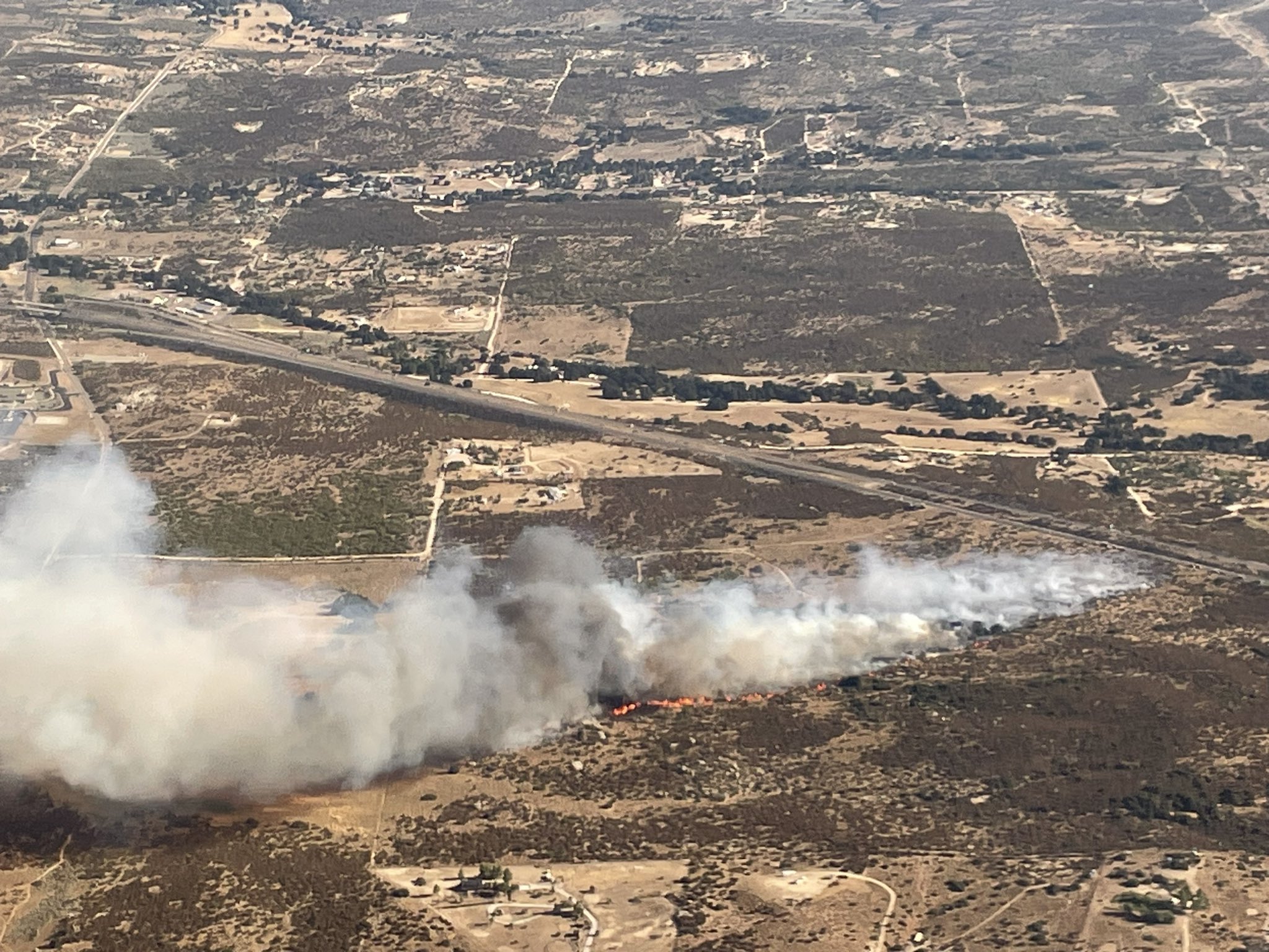 A plant that's everywhere is fueling a growing risk of wildfire disaster - Vimarsana News