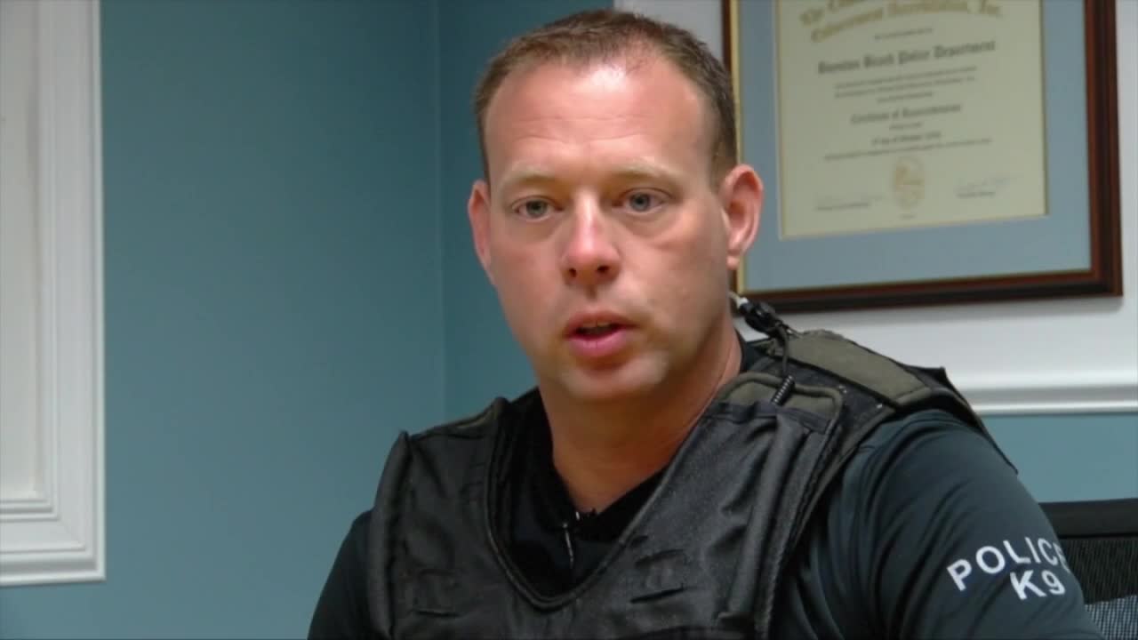 Fired Boynton Beach police officer should get job back, arbitrator rules - Vimarsana News