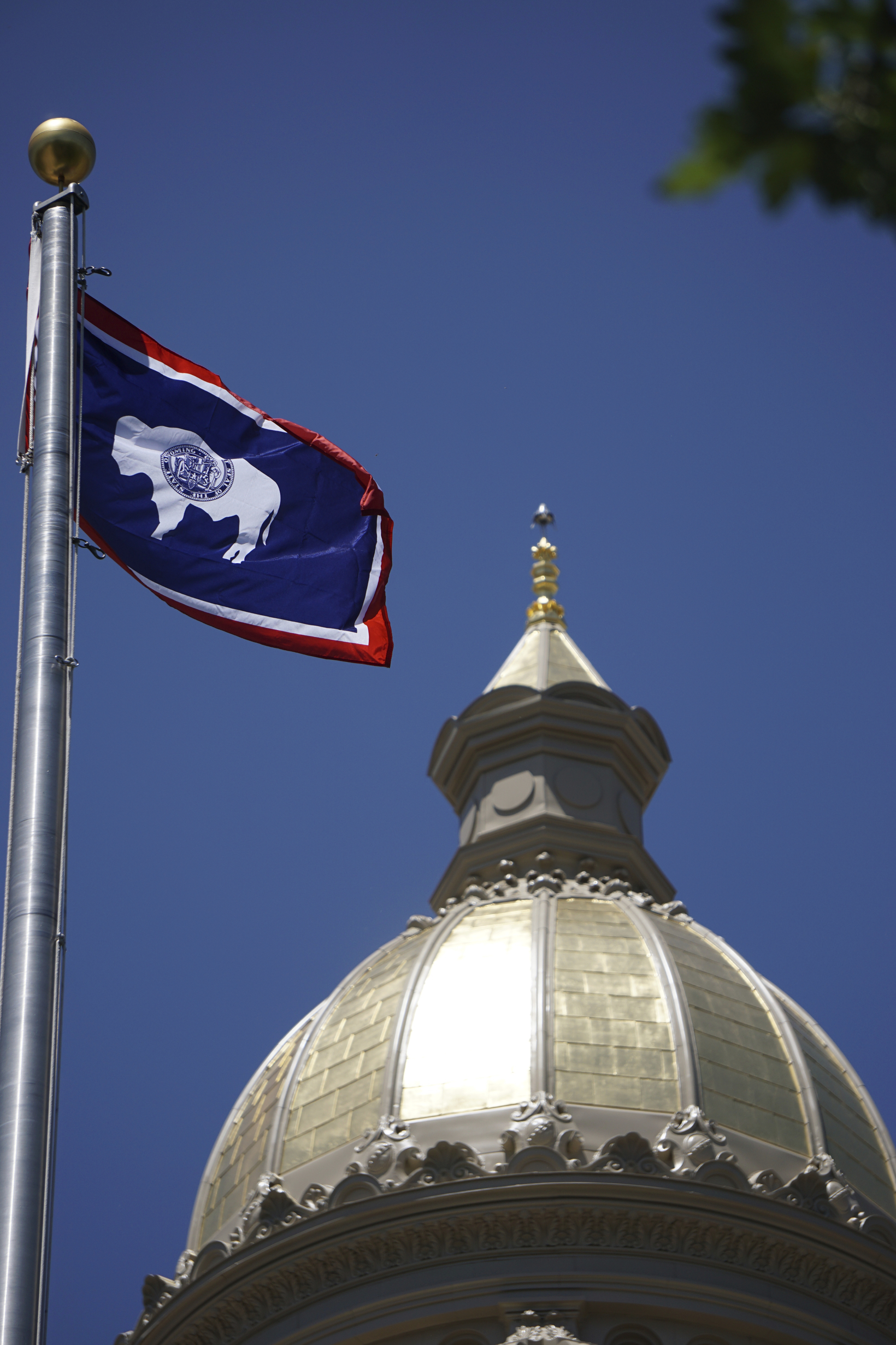 Abortion to remain legal in Wyoming while lawsuit proceeds - Vimarsana News