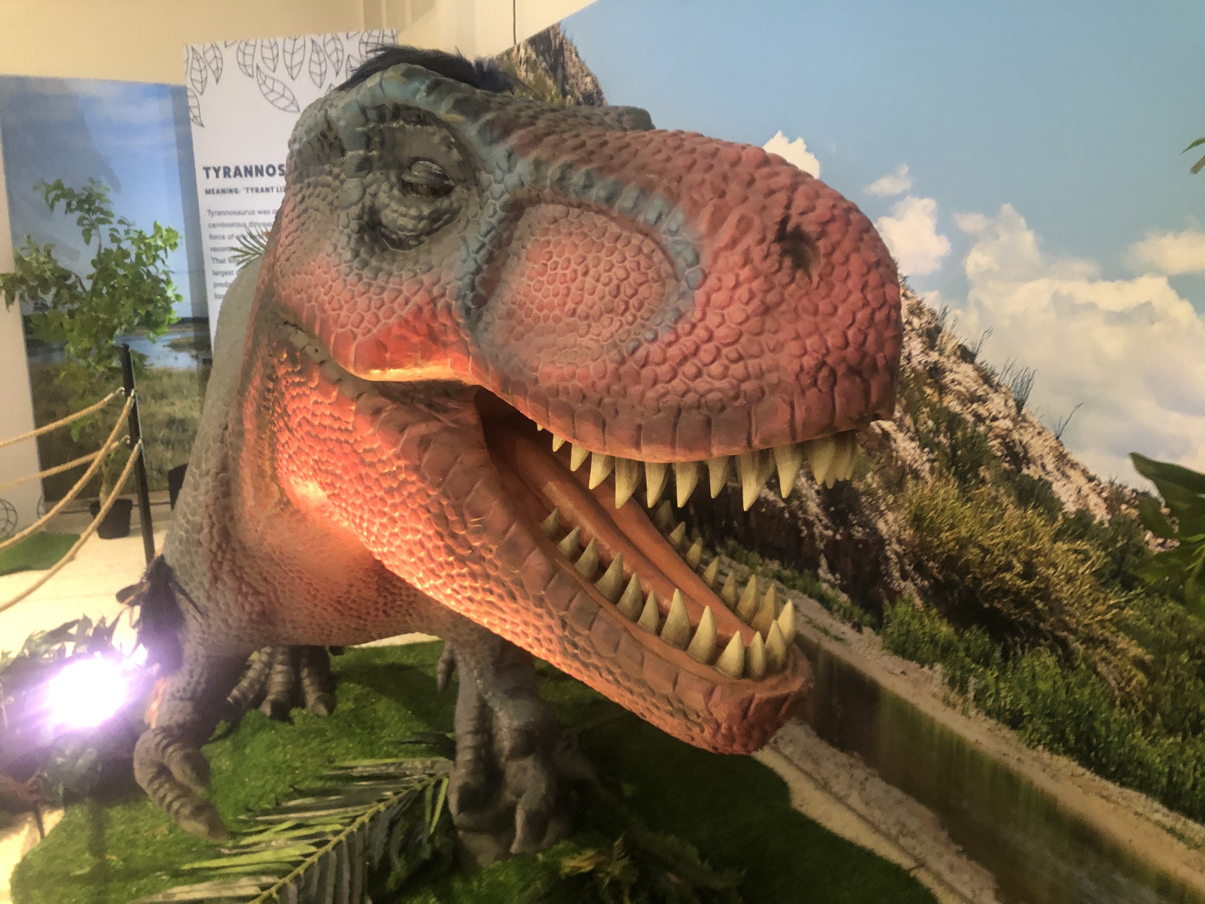 Explore the Roar! Dinosaurs are back at the Cox Science Center - Vimarsana News
