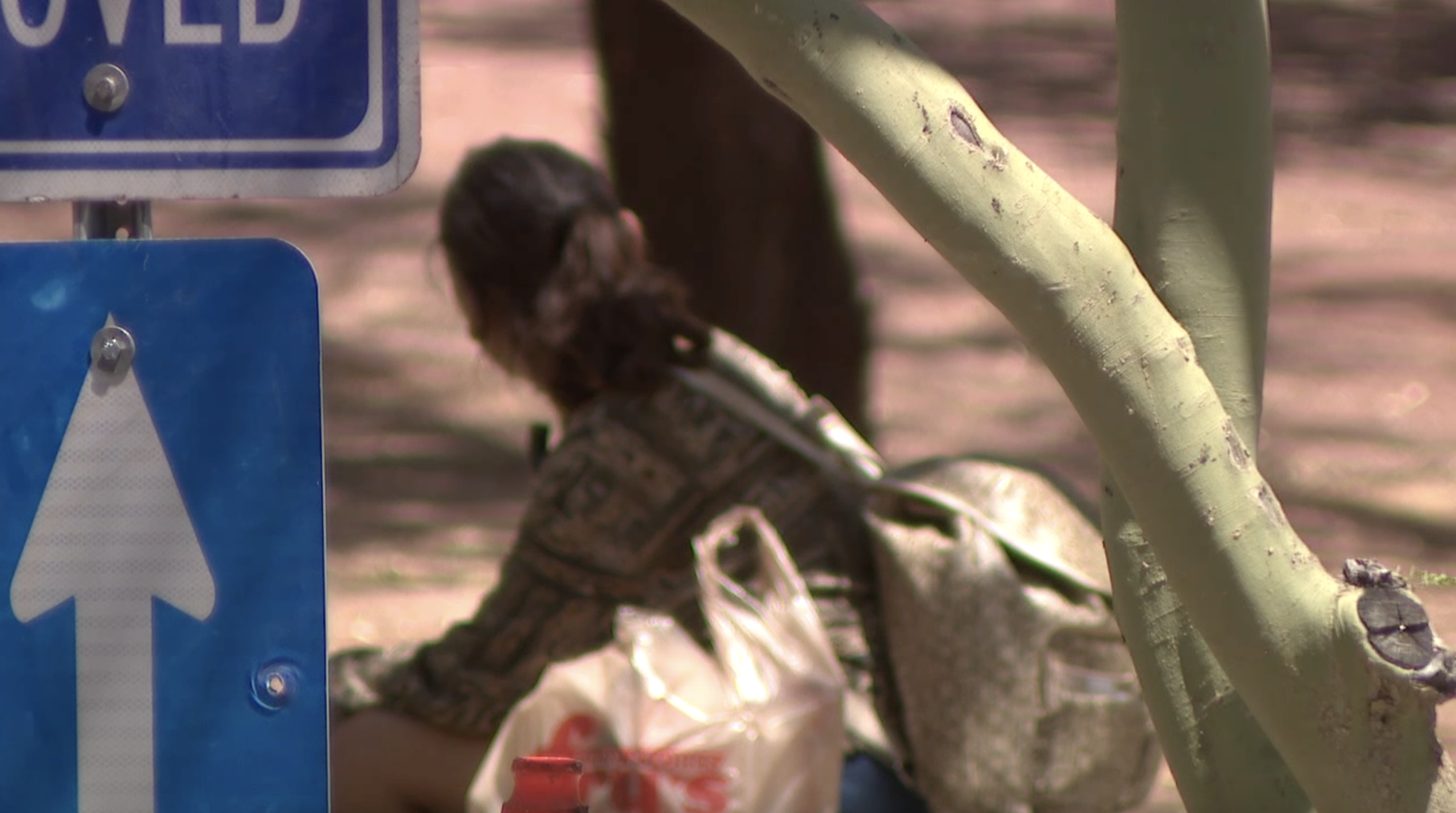 Phoenix gives update on homelessness solutions - Vimarsana News