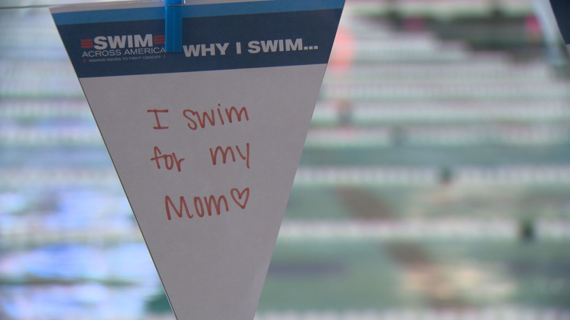 At swimathon, teams raise money for cancer research, prevention and treatment - Vimarsana News