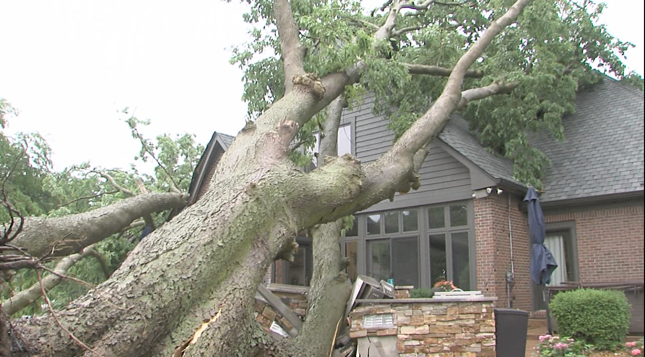 Thursday's storms cause widespread damage, knocks tree into a house in Carmel - Vimarsana News