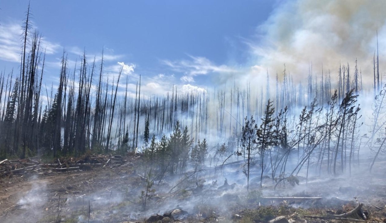 Hog Trough Fire at 1,701 acres, remains 77% contained - Vimarsana News