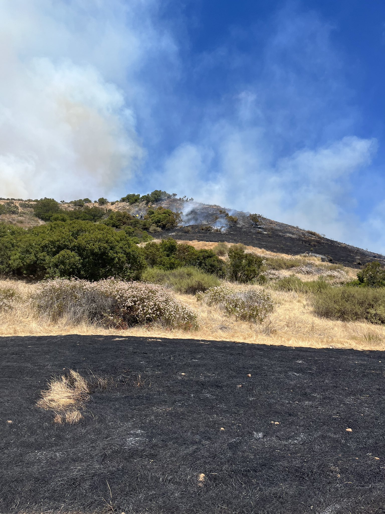 MCAS Miramar Fire: Brush fire began during controlled burn - Vimarsana News