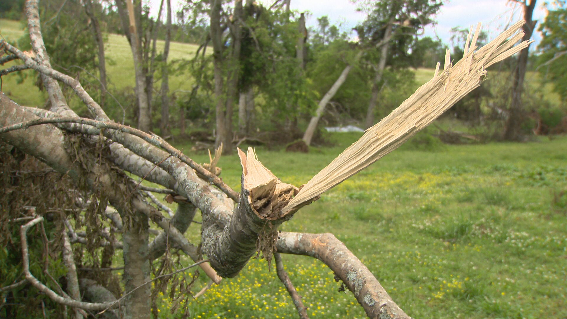 One week later: Maury County's tornado recovery continues - Vimarsana News