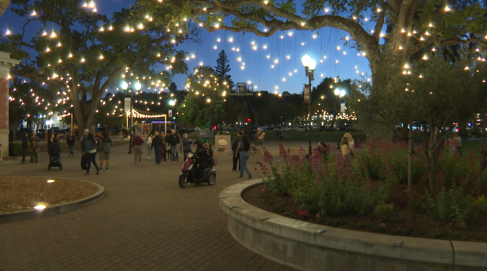 Year-round light display kicks off at Downtown City Park - Vimarsana News