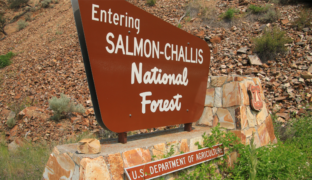 Salmon-Challis National Forest Supervisor reacts to fatal chopper crash - Vimarsana News