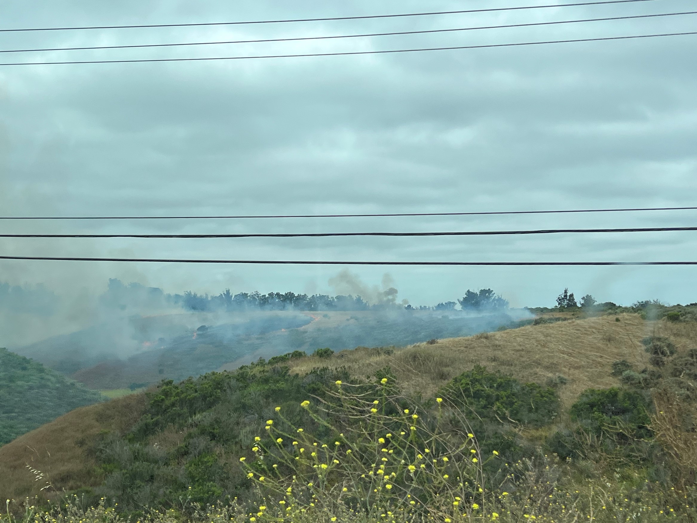 Lompoc brush fire leads to road closure and structure protection - Vimarsana News