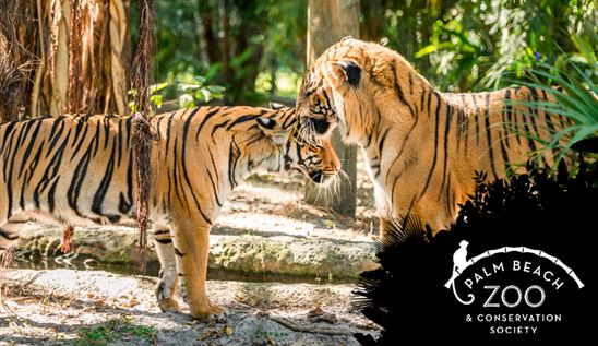 Palm Beach Zoo hosts weekend-long Earth Day celebration - Vimarsana News