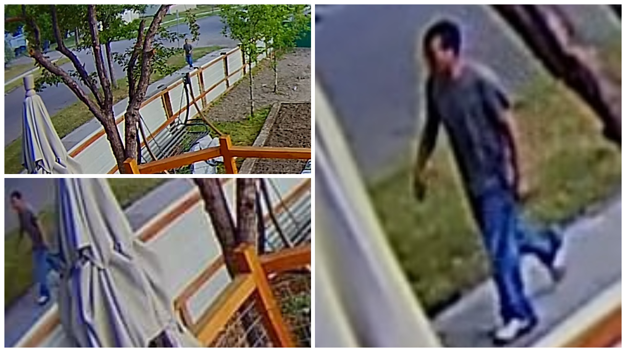 Police investigating vandalism spree in Great Falls - Vimarsana News