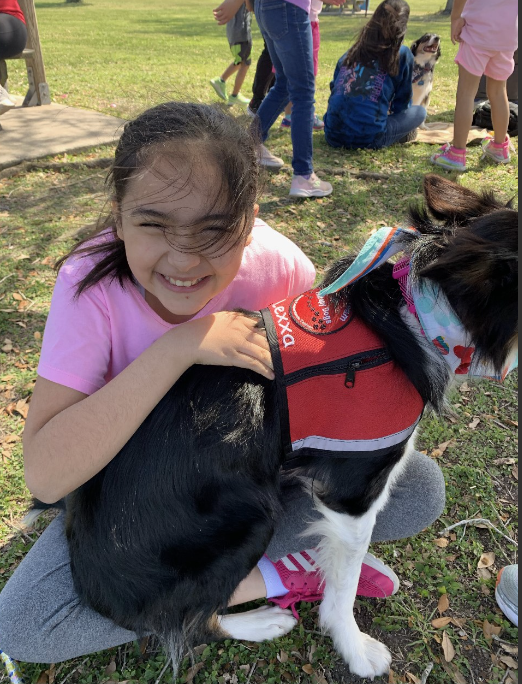Therapy dog helps child with autism break through communication challenges - Vimarsana News