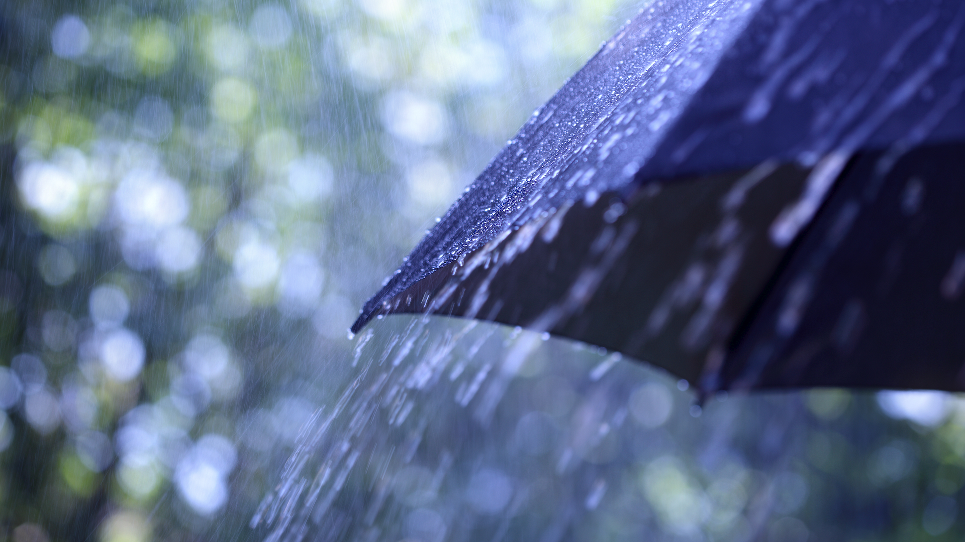 First Warning Forecast: Less heat, More showers & storms to end the week - Vimarsana News