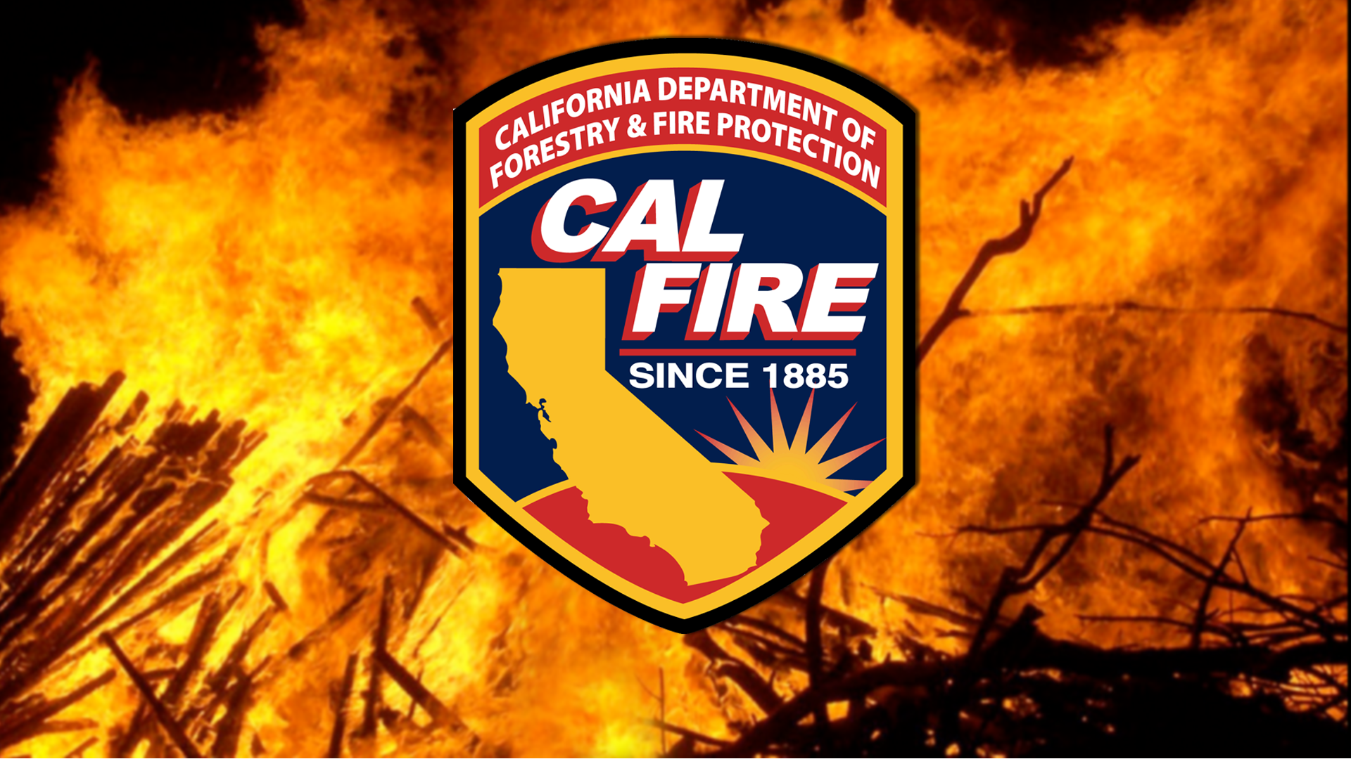 A local Strike team assigned to help with Rabbit Fire - Vimarsana News