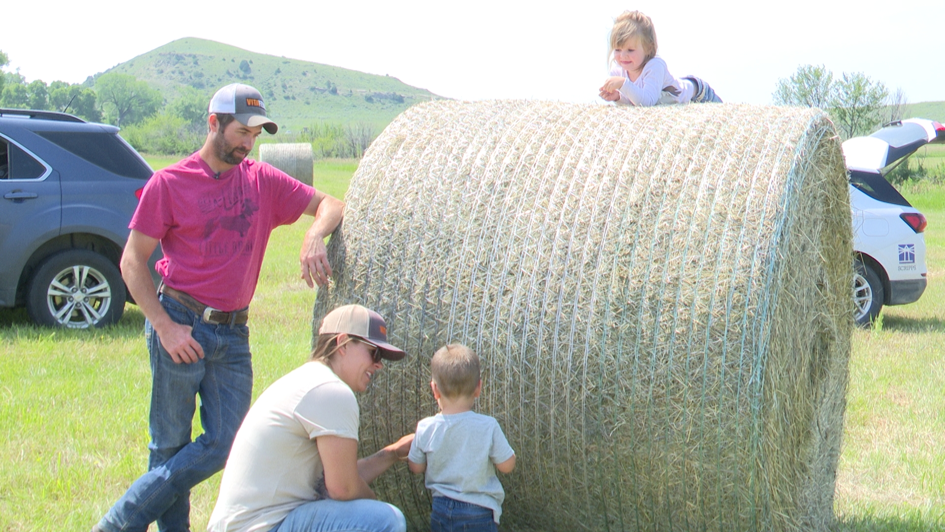 Nationwide hay shortage hindering Montana ranchers and consumers - Vimarsana News