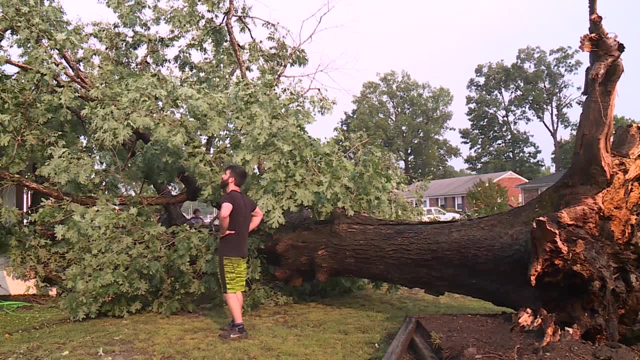 Powerful storms topple trees, knock out power to thousands - Vimarsana News
