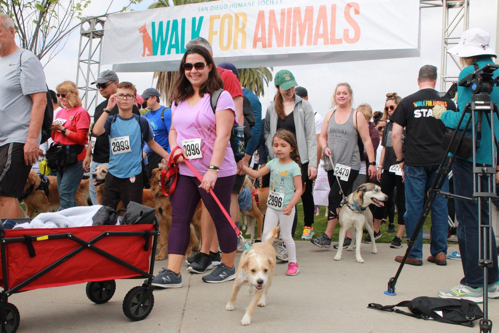 Walk for Animals takes over Liberty Station - Vimarsana News