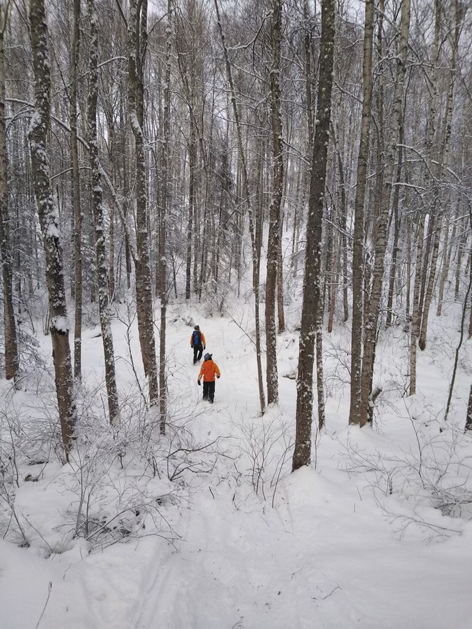 3 overdue hikers, including one from Colorado Springs, found dead after Alaska avalanche - Vimarsana News