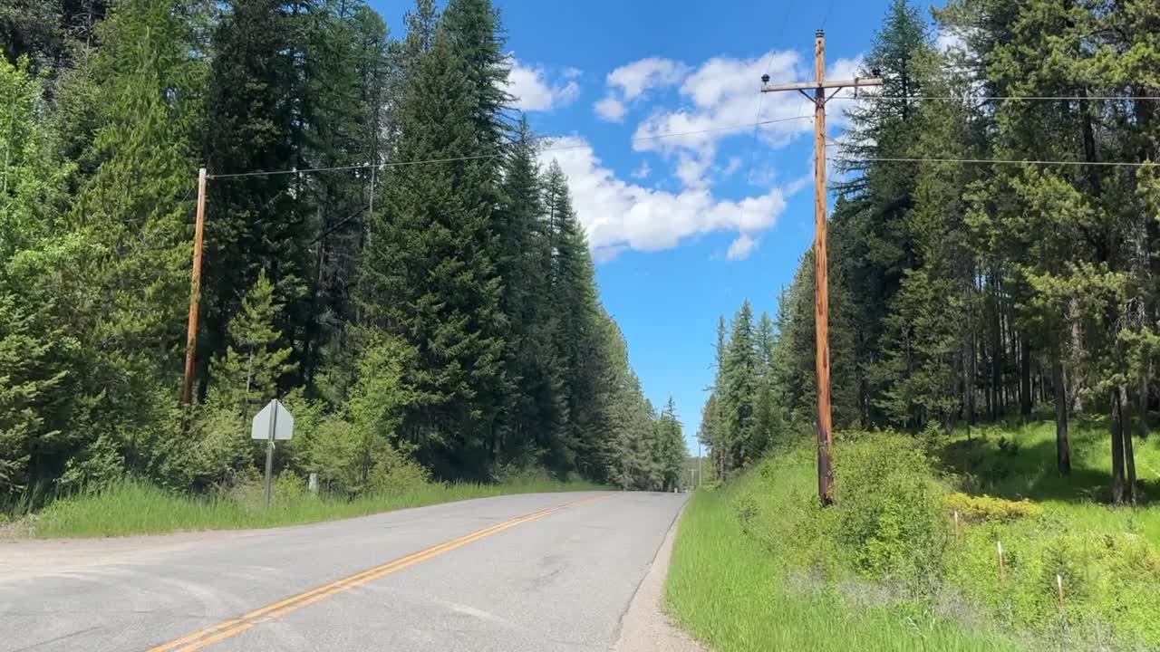 Details emerging in attempted deliberate homicide near Whitefish - Vimarsana News