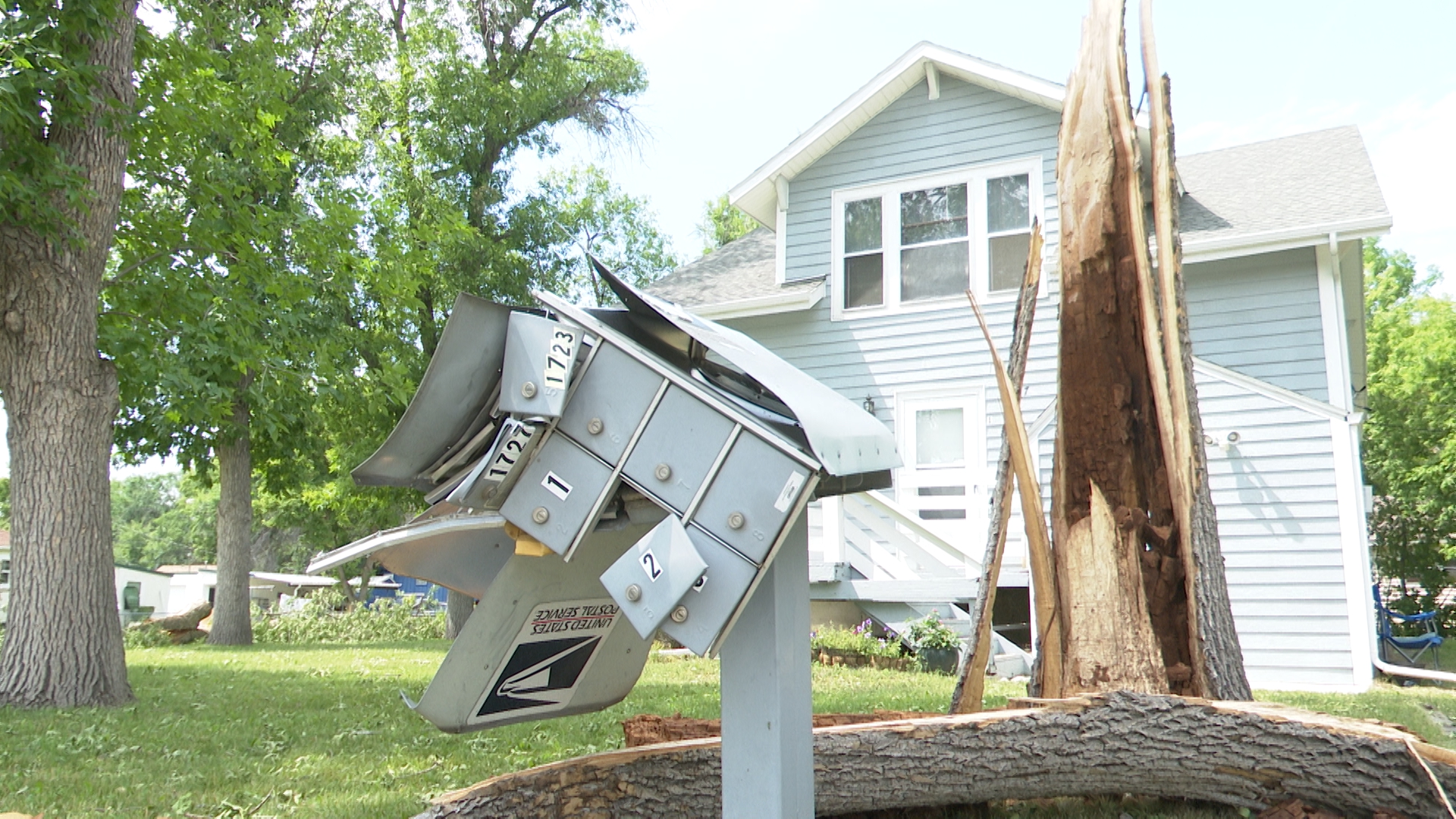 Heavy tree damage seen throughout Billings due to Sunday storm - Vimarsana News