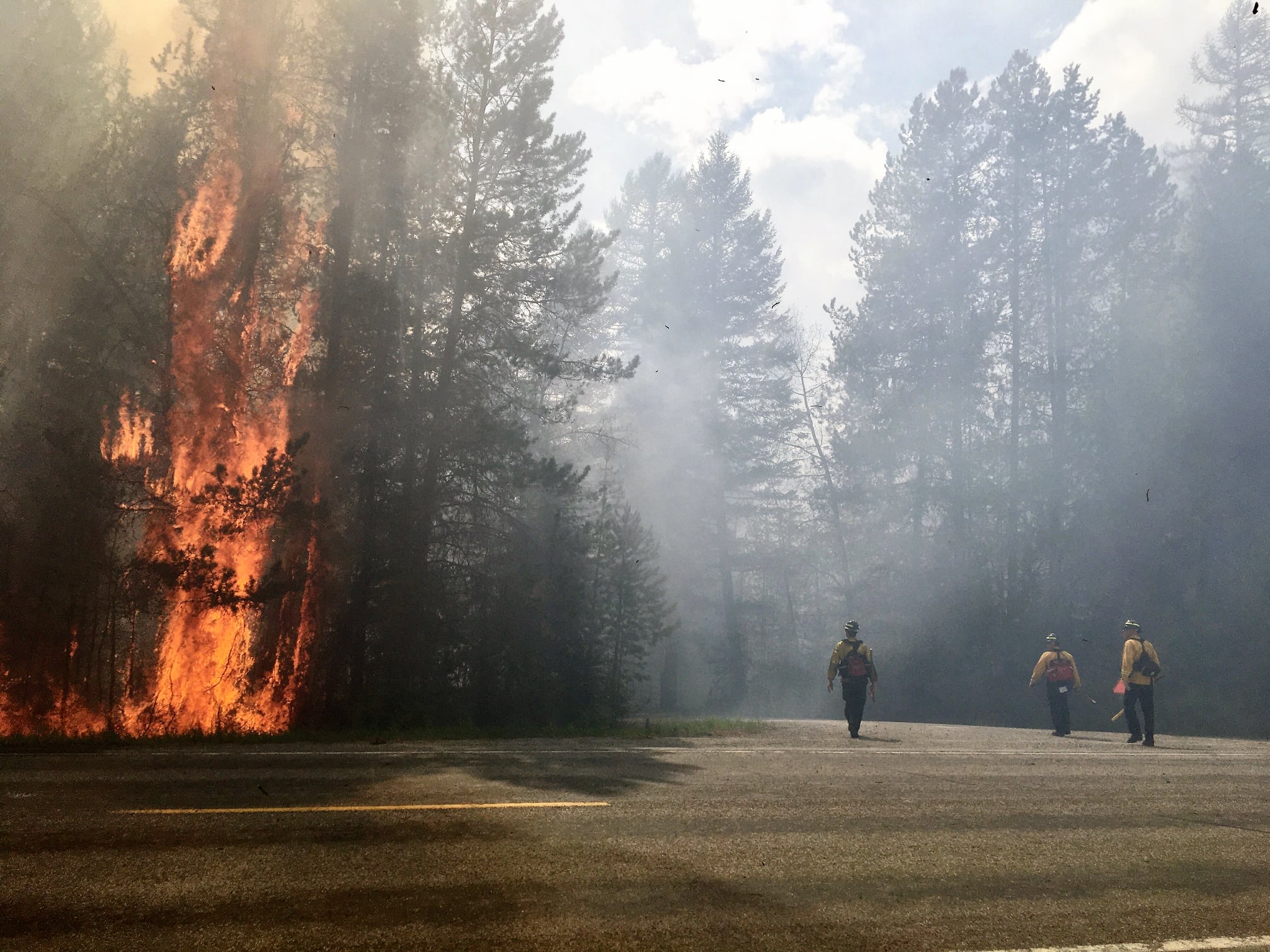 Fire near Olney burns 27 acres - Vimarsana News