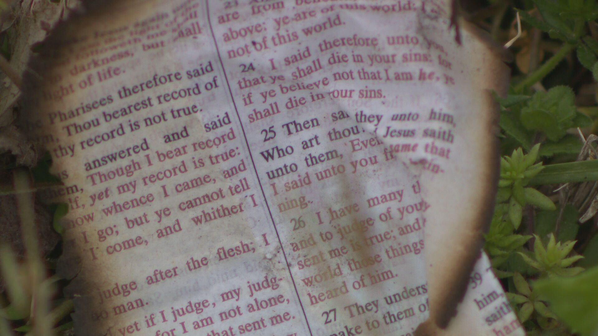Investigation underway after trailer full of bibles set on fire - Vimarsana News