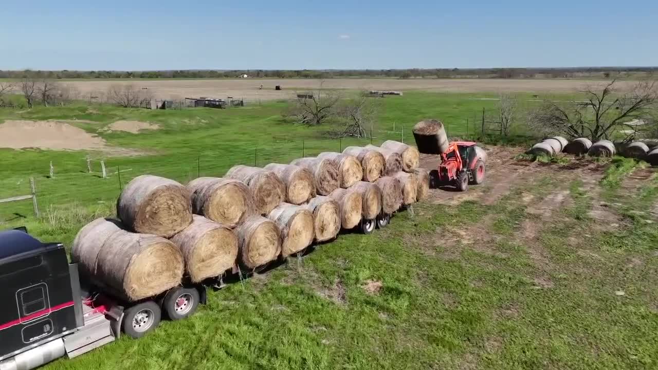 Central Texas group donates near 1,000 bales of hay to the Texas Panhandle - Vimarsana News