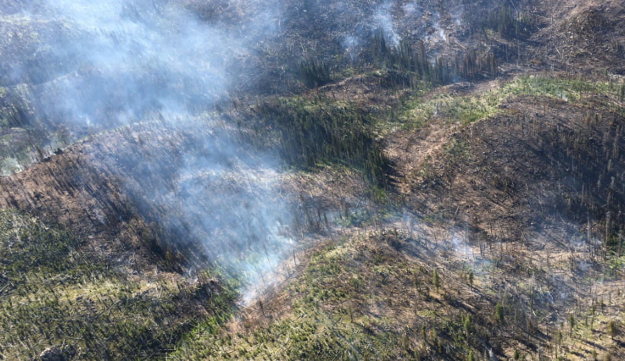 Little growth seen at Hog Trough Fire - Vimarsana News