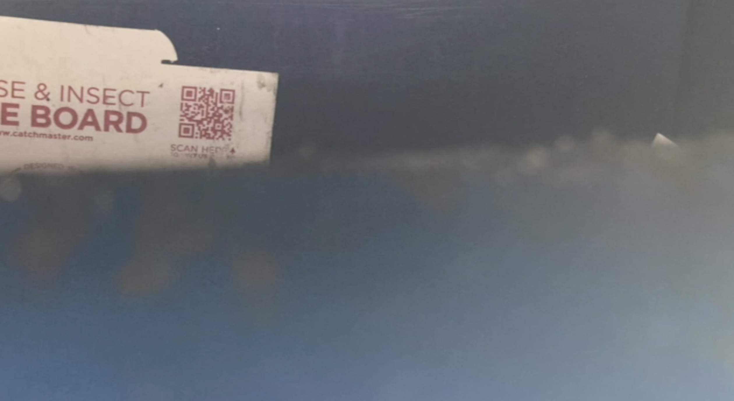 Fraud victim potentially connected to USPS collection box with glue trap - Vimarsana News