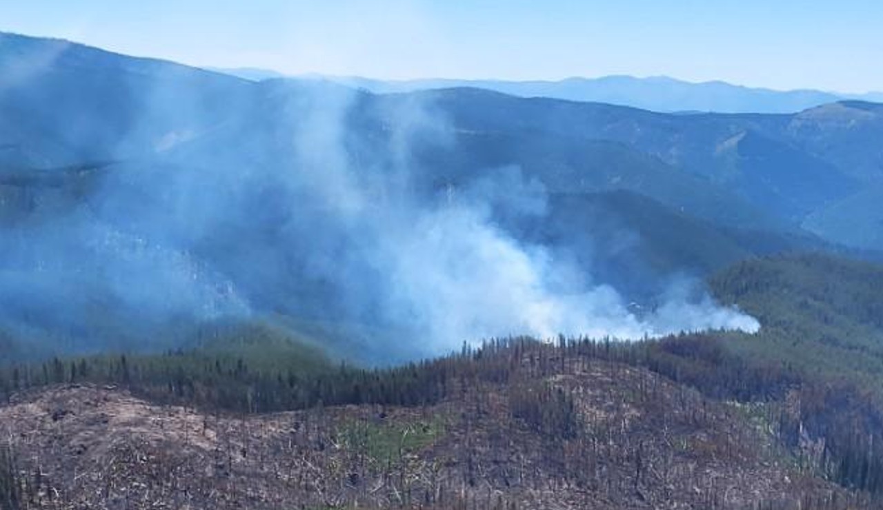 Hog Trough Fire grows to 824 acres; 44% contained - Vimarsana News