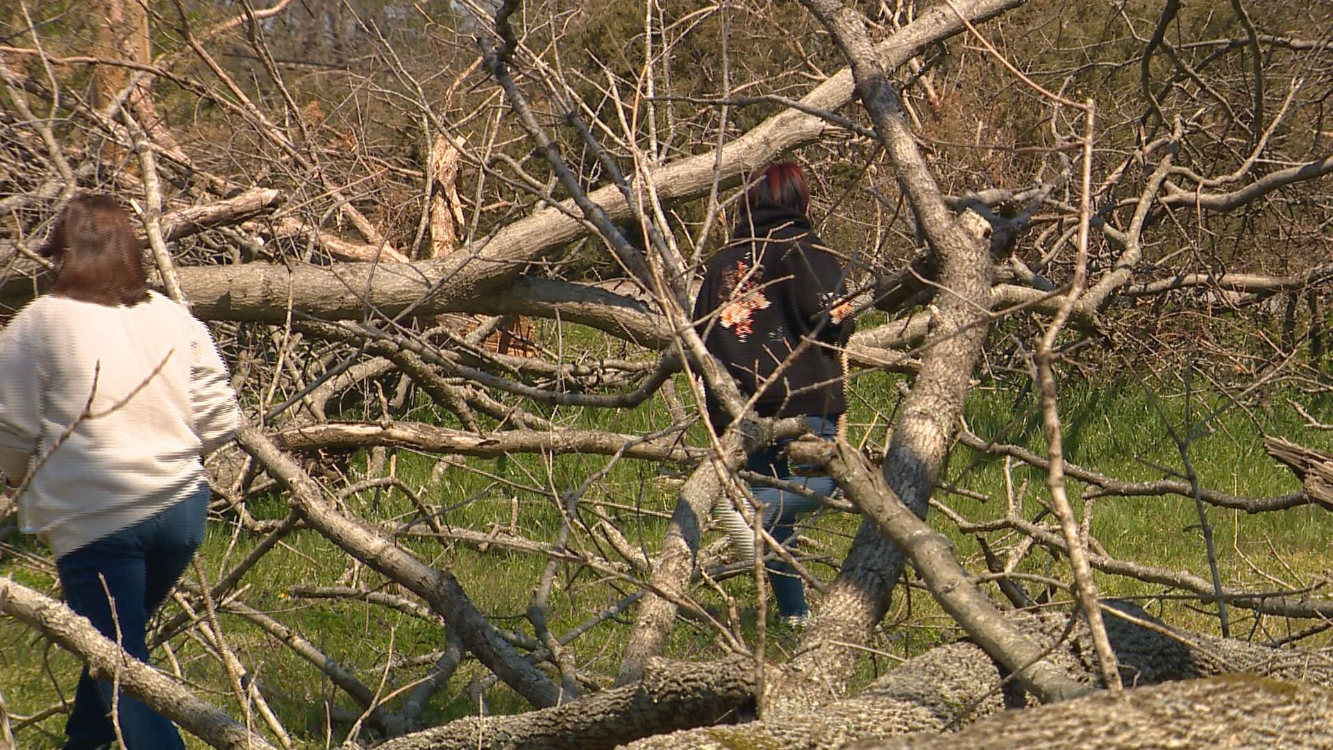 Volunteers join Sebastian Rogers's dad for a search in Hendersonville - Vimarsana News