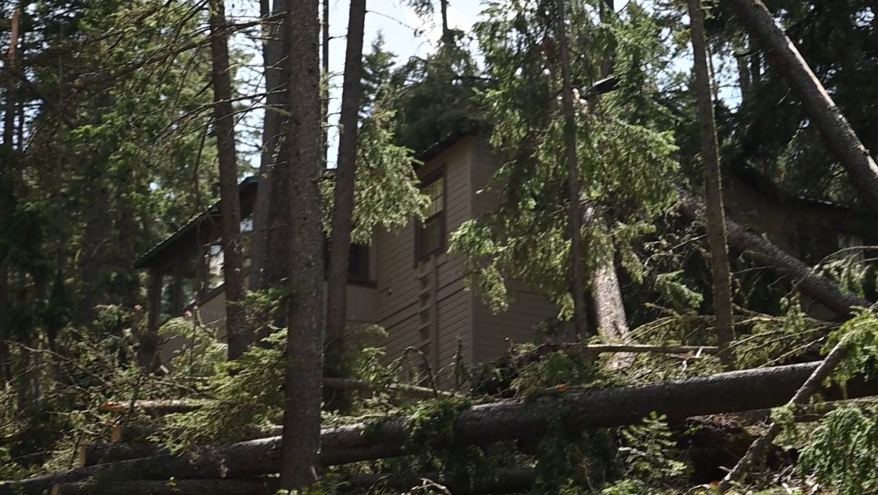 Monarch-area residents grapple with aftermath of damaging winter storm - Vimarsana News