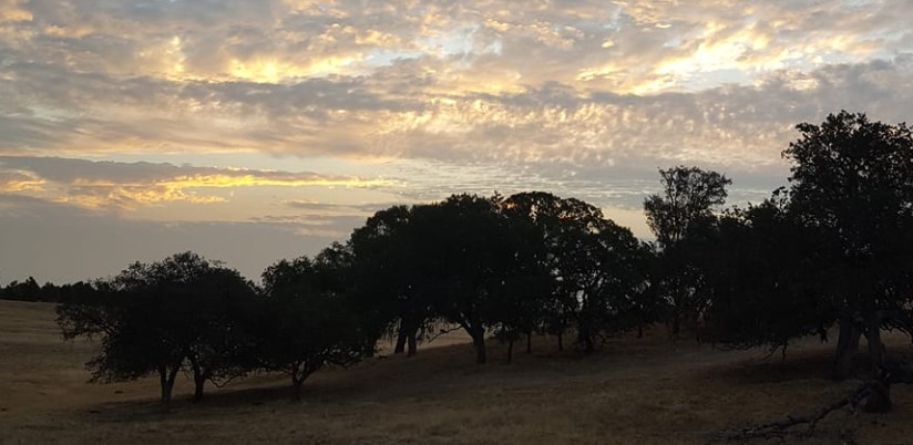 Weekend weather will be mild but breezy