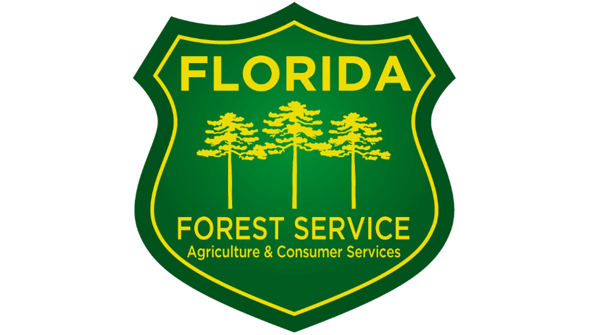 Florida Panhandle wildfire destroys home, damages 15 others - Vimarsana News