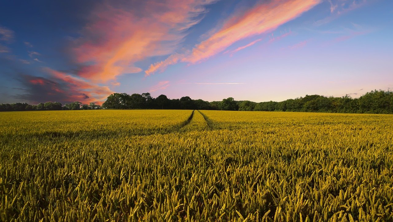 Changing climate poses a challenge for farmers in southeast Wisconsin - Vimarsana News